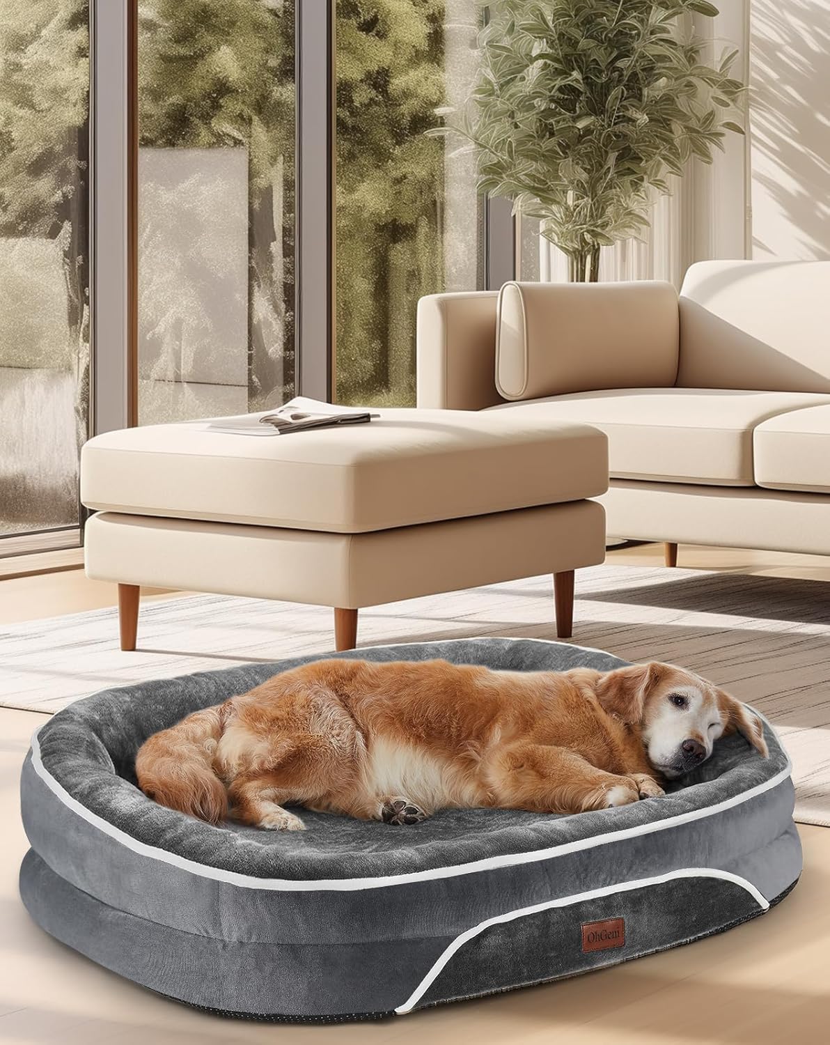 dog beds